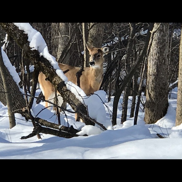 Meet your Posher, Sim - Picture 5 of 6